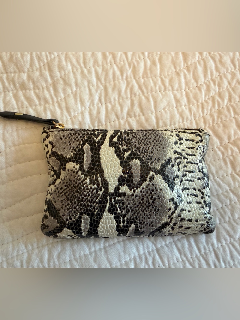 Blair Ritchey Snake Zip Wallet